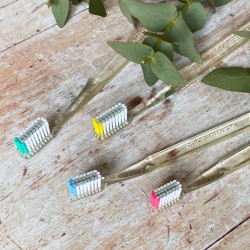 Eco-Friendly Toothbrush