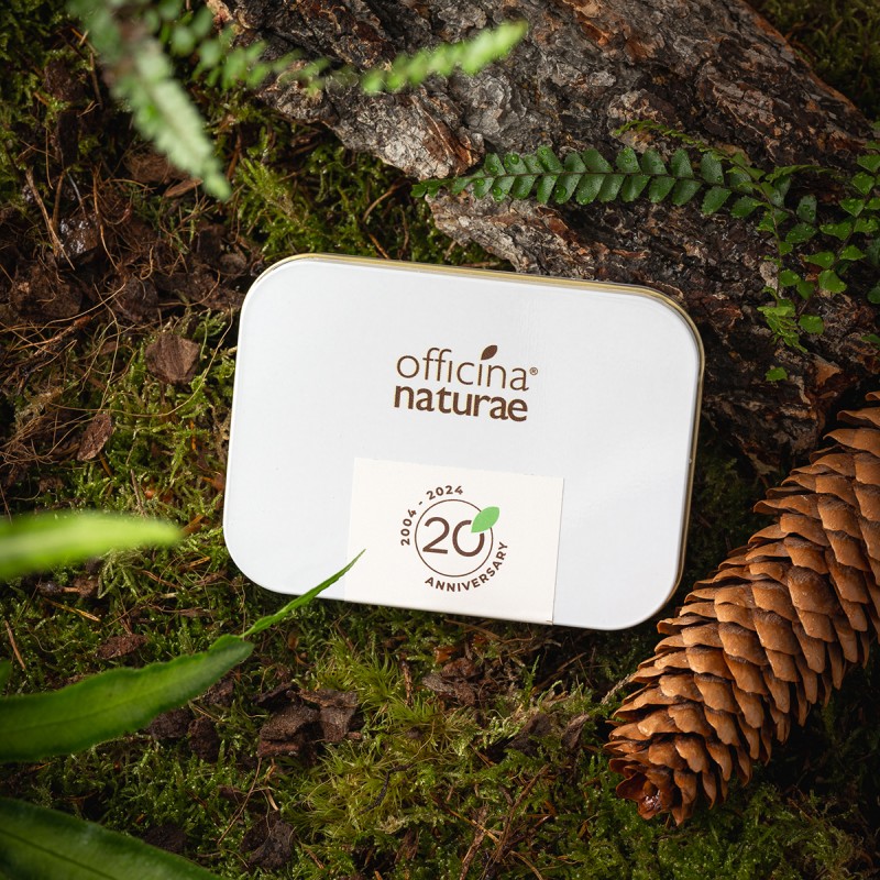 KIT Plastic Free Travel - Limited Edition