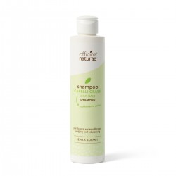 Oily Hair Shampoo